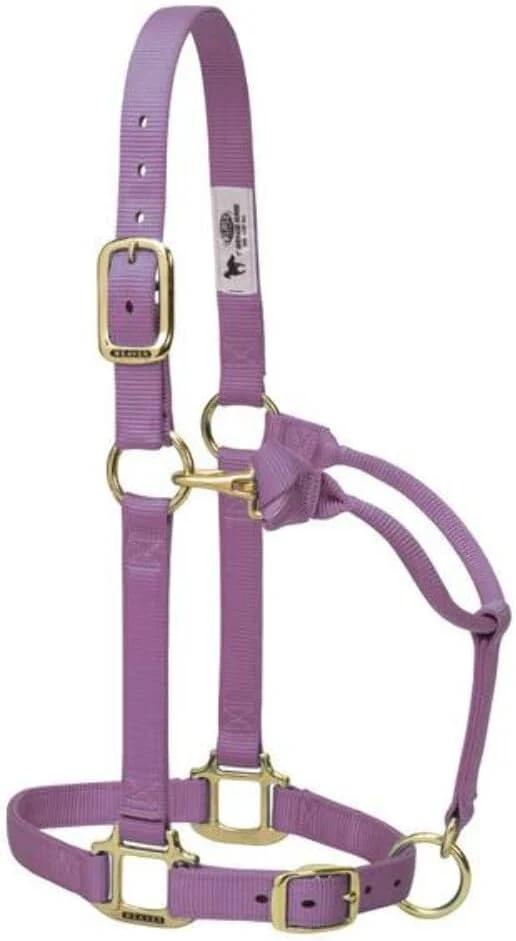 Stylish Weaver Leather Adjustable Nylon Horse Halter Next-Generation
