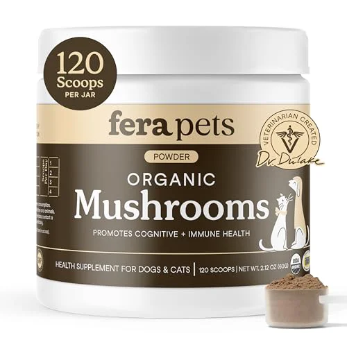 Excellent Fera Pets Mushroom Supplement for Dogs Cats – USDA Organic Immune Brain Support 120 Scoops Reusable