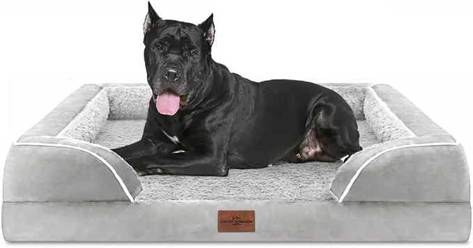 Trendy Comfort Expression Orthopedic Dog Bed Expertly Made