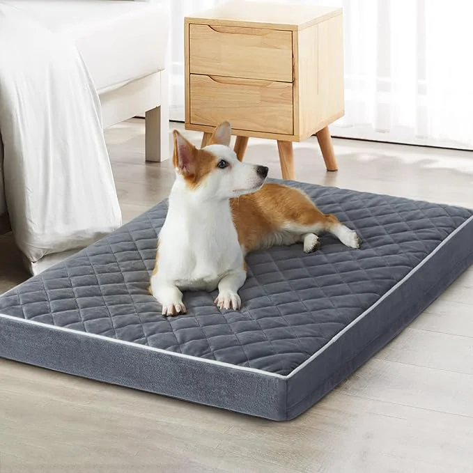Advanced WNPETHOME Orthopedic Dog Bed Medium Size Dog Waterproof Medium Dogs Bed Dependable