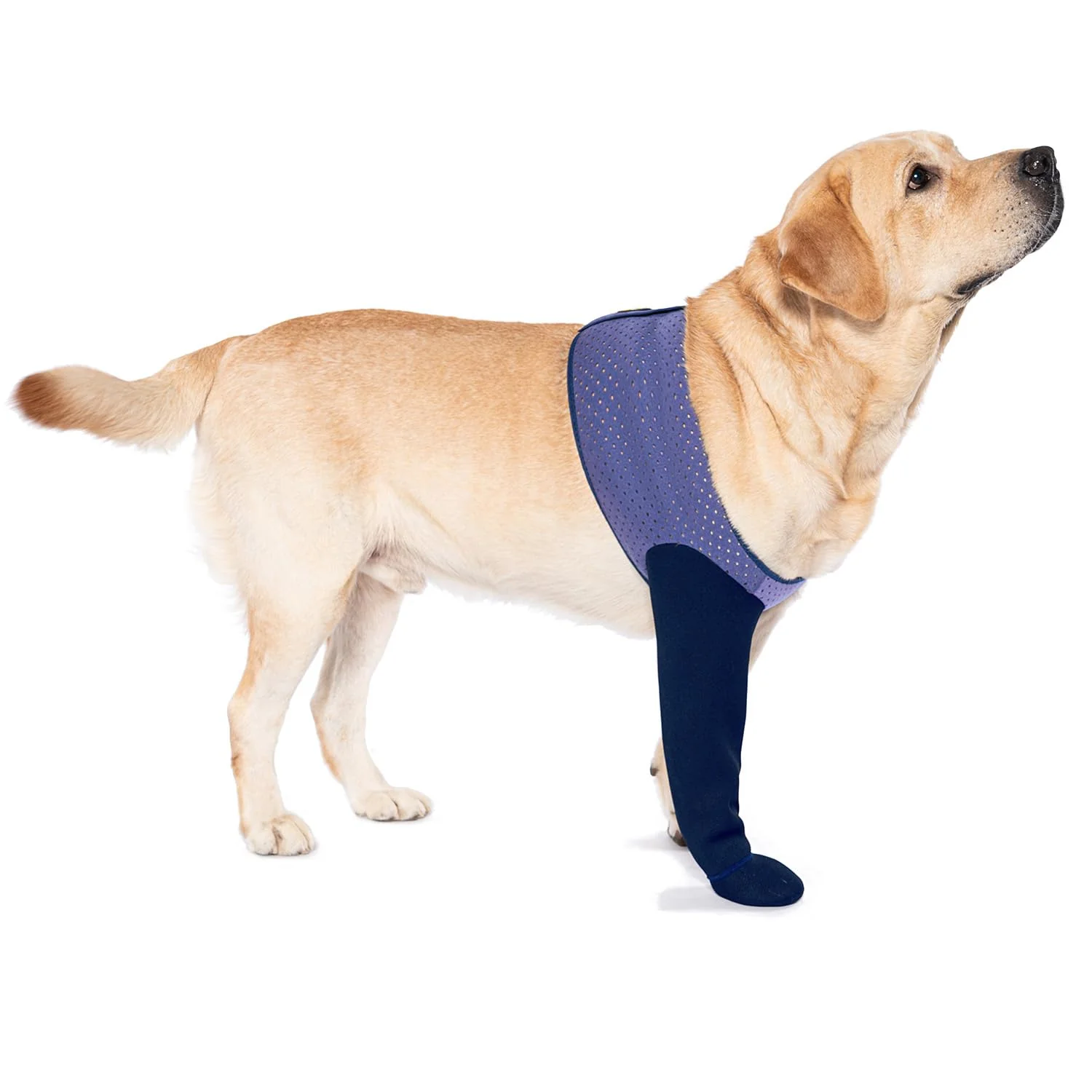 Green COODEO Dog Socks for Licking Prevention — Healing Boots Paw Protectors with Non-Slip Bottoms Purple Original