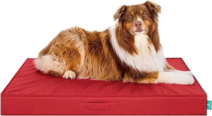 Carefully Designed FurHaven Cooling Dog Bed – XL Foam Mattress Exceptional