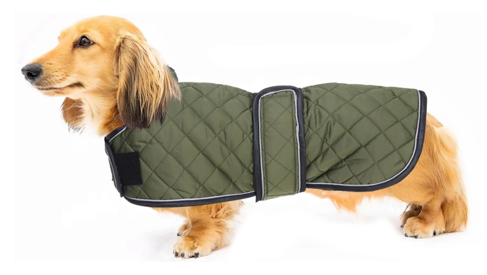 Solid Geyecete Warm Thermal Quilted Dachshund Coat Fleece-Lined Waterproof Dog Winter Coat Army Green XS Optimized