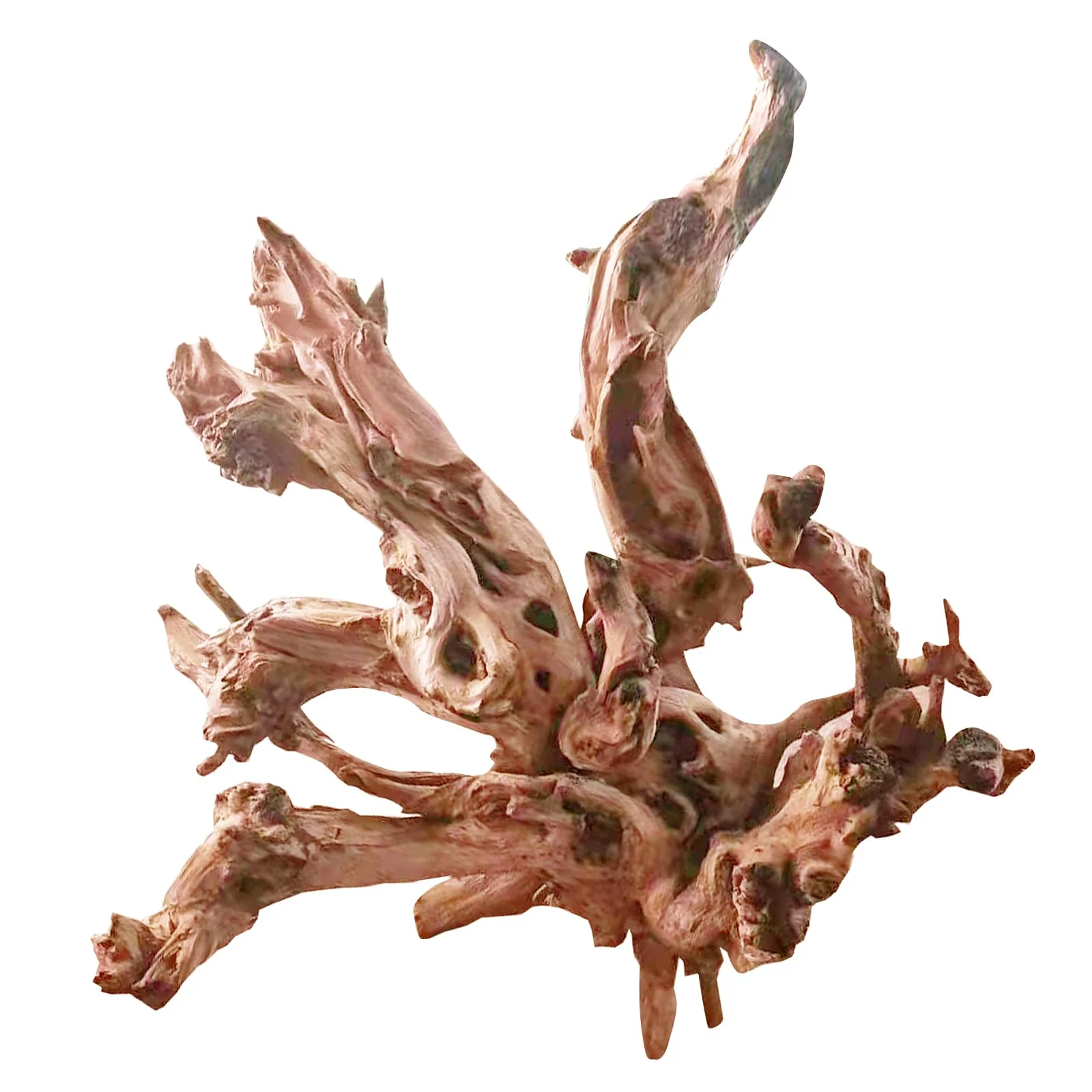 Clean Jorewood Natural Large Aquarium Driftwood 13-17in Safe Low Tannin Easy to Sink Original