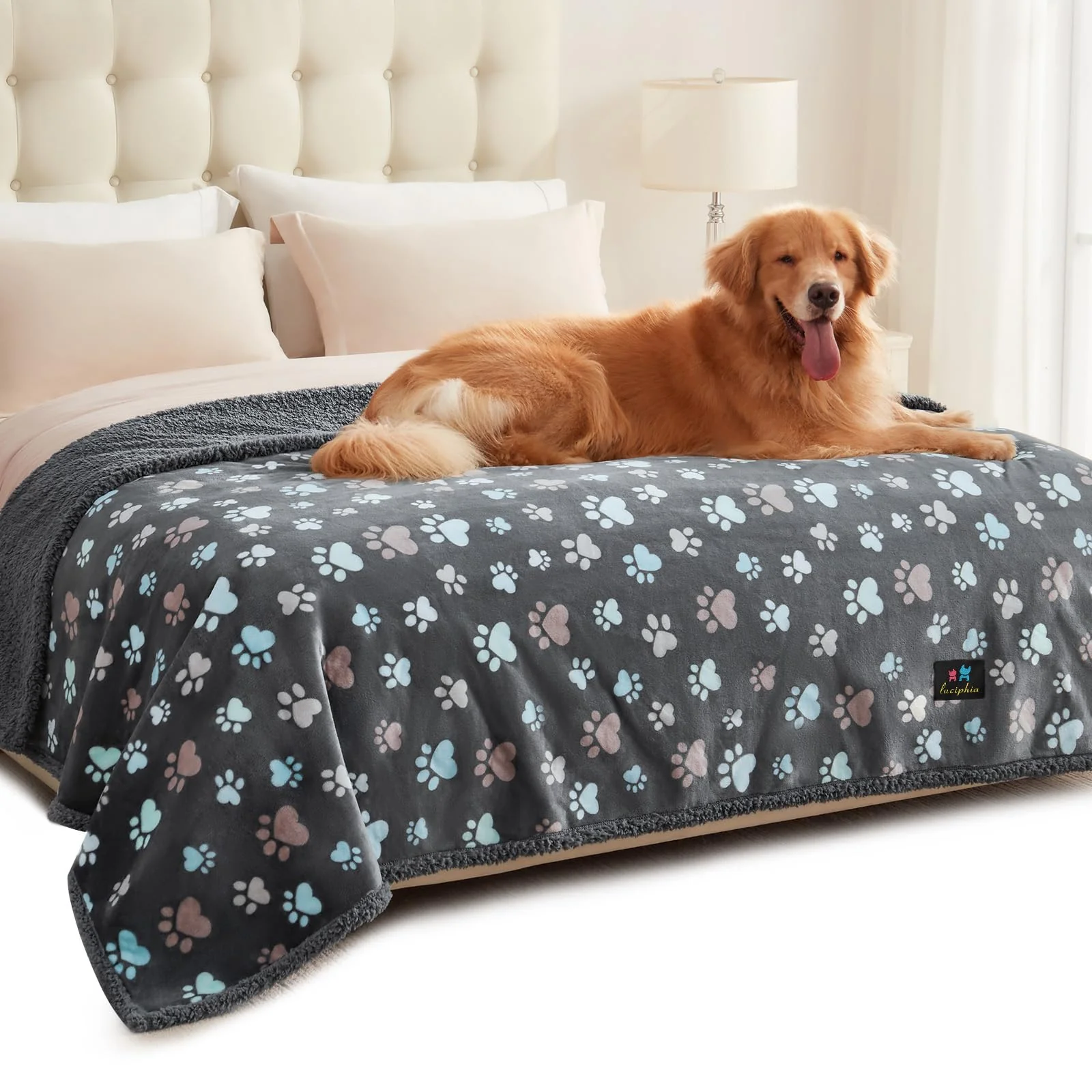 User-Friendly Luciphia Waterproof Pet Blanket X-Large 85x57 Reversible Fleece Sherpa Couch Protector Exclusive