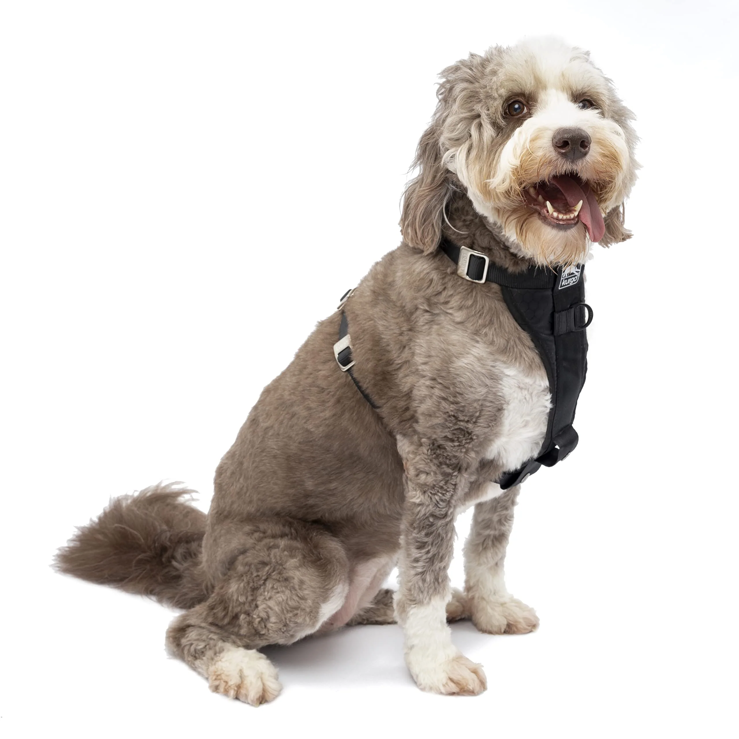 Exceptional Kurgo Enhanced Strength Tru-Fit Dog Car Harness — Crash-Tested Five-Point Travel Safety Easy-to-Use