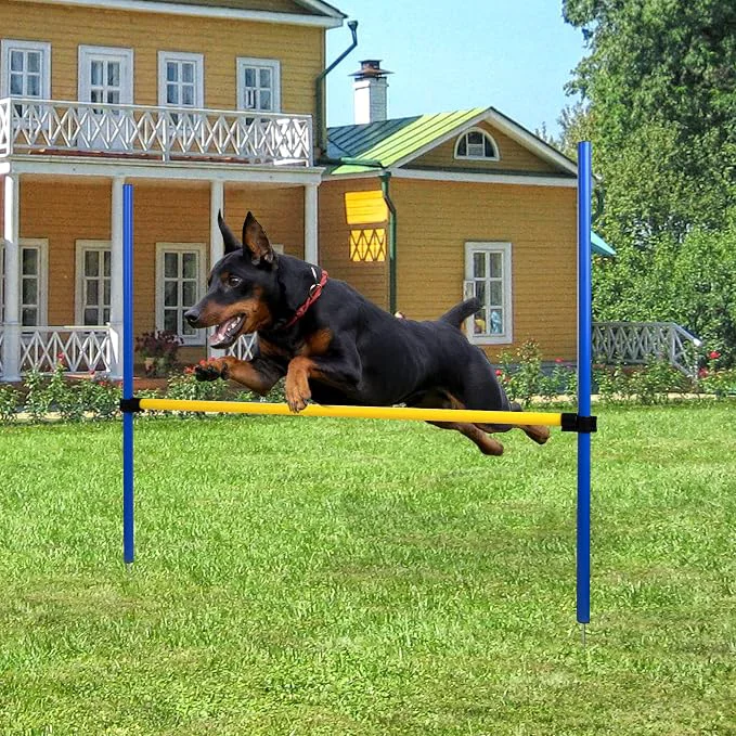 Environmentally Friendly Pet Prime Dog Agility Training Equipment Long-Lasting