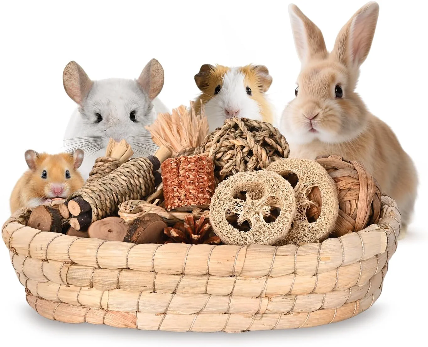 31PCS Rabbit Chew Treat Toys for Teeth Health Natural Bunny Enrichment Toys for Boredom Stress Relief Keep Busy Toys for Guinea Pig Chinchilla Hamster Rat Gerbil Degu Indoor Outdoor Fine