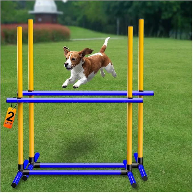 User-Friendly Adjustable Dog Agility Jump Set – Training Hurdles Fine Crafted