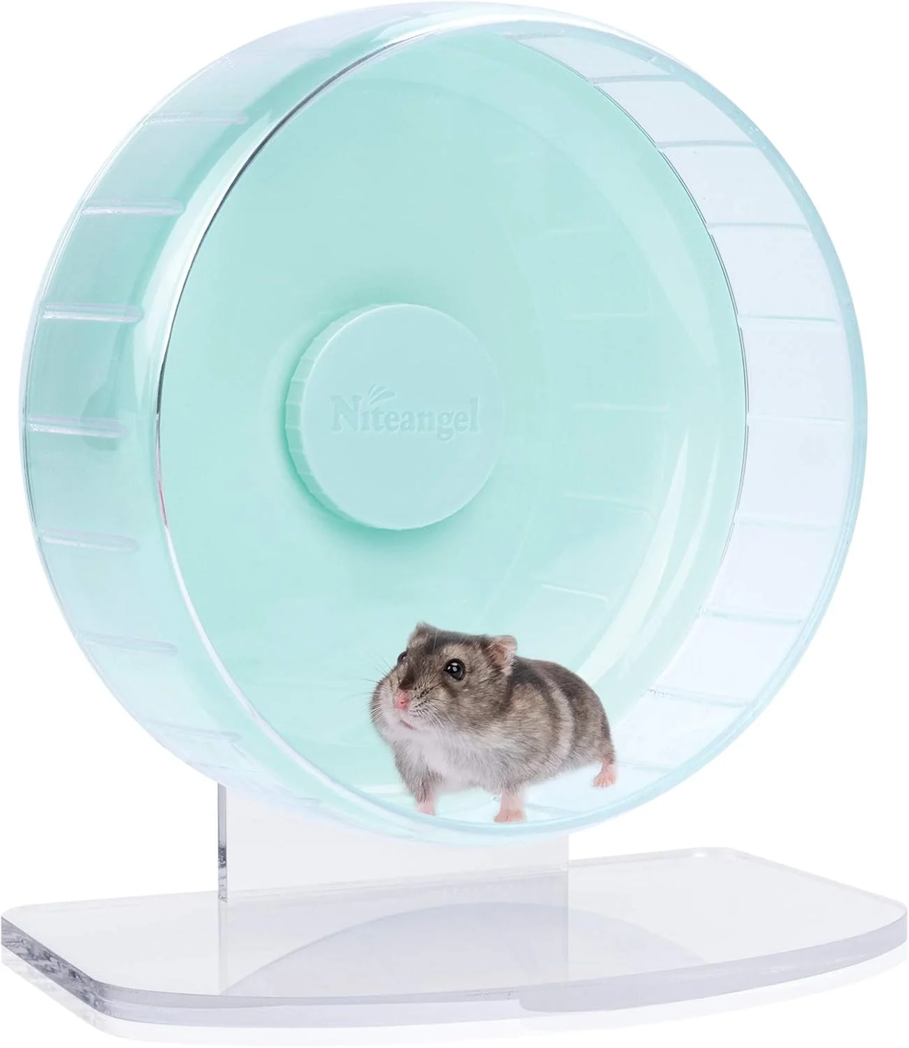 Relaxed Niteangel Super-Silent Hamster Exercise Wheels - Quiet Spinner Hamster Running Wheels with Adjustable Stand for Hamsters Gerbils Mice Or Other Small Animals S Mint Green Safe