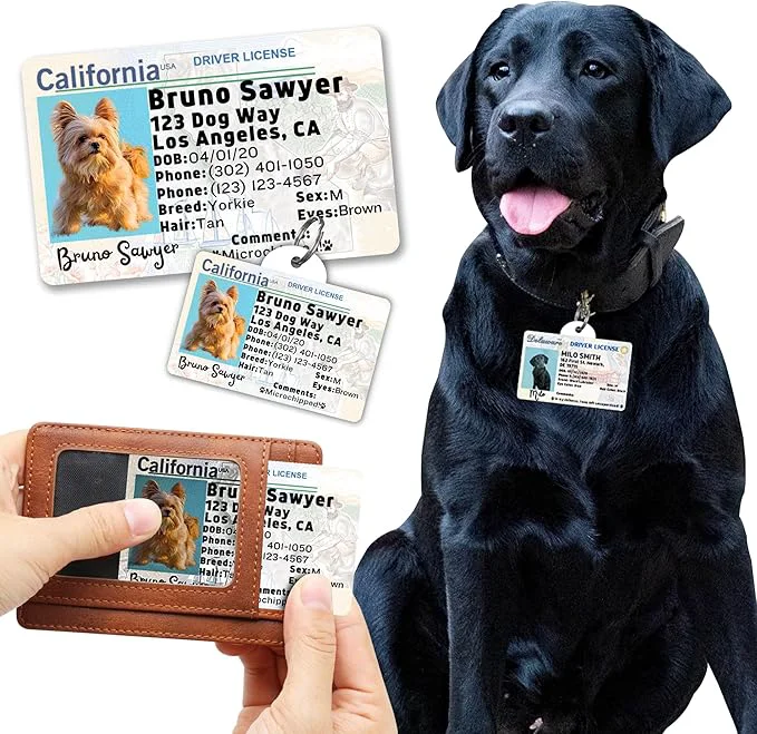 Casual PawFurEver Personalized Dog Driver License ID Tag High-Performance