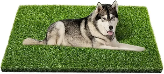 Artisan Artificial Grass Professional Dog Grass Mat Potty Training Rug and Green