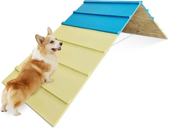 Crafted Dog Agility Course Backyard Equipment Pure