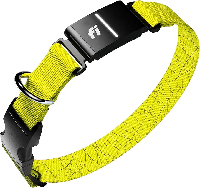 Superior New Fi Series 3 Smart Dog Tracker Collar GPS Tracker Excellent