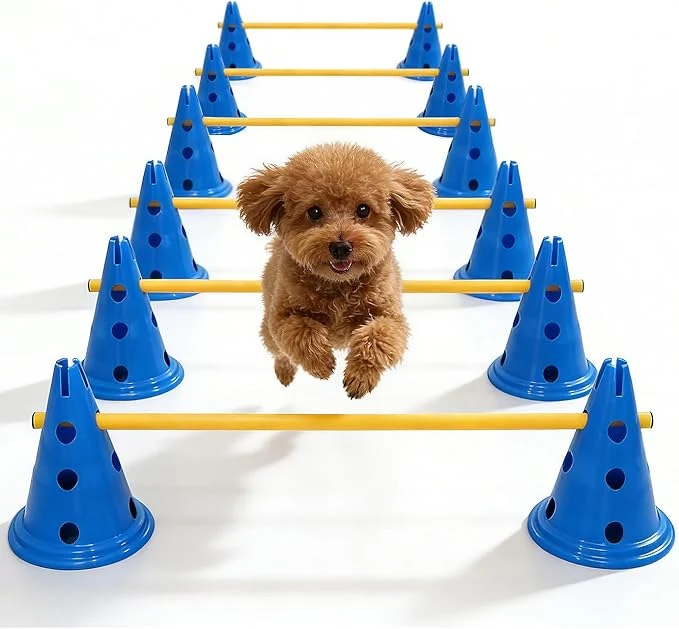 Luxury Dog Agility Hurdle Cone Set Dog Agility Course Backyard Set Refined