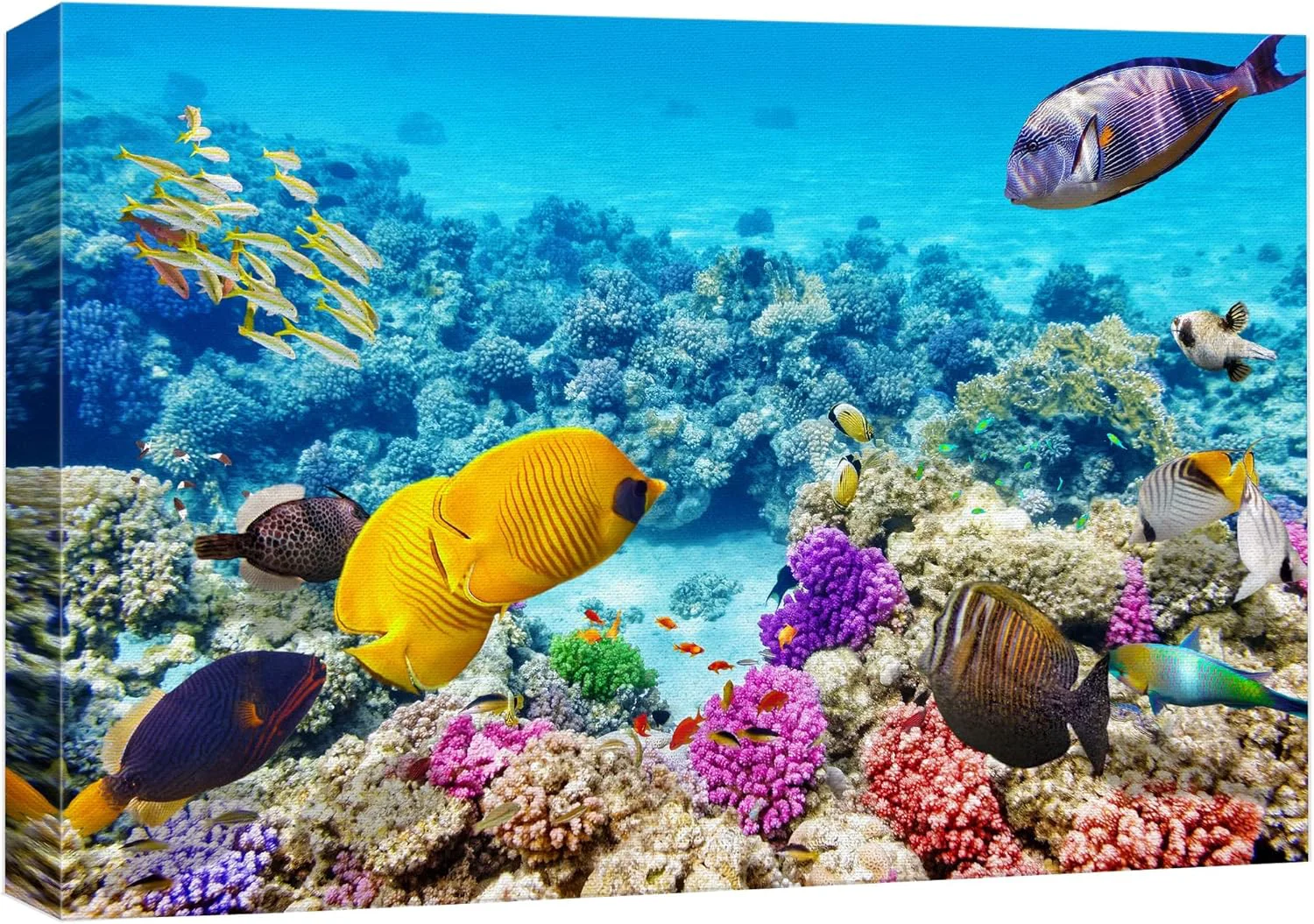 Relaxed wall26 Canvas Print Wall Art Vibrant Teal Underwater Fish Coral Reef Nature Animals Photography ism Scenic Landscape Wilderness Earth Colorful for Living Room Bedroom Office - 32 x48 Genuine