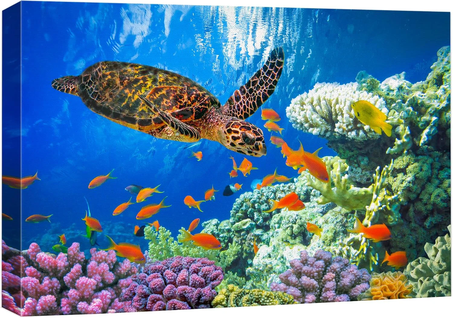 Long-Lasting wall26 Canvas Print Wall Art Vibrant Neon Underwater Turtle Reef Fish Nature Animals Photography ism Rustic Scenic Landscape Wilderness Colorful for Living Room Bedroom Office - 24 x36 Classic