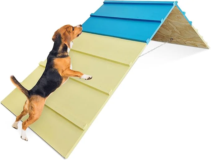 First-Class Dog Agility Equipment for Small Medium Dogs Puppy Agility Course Backyard Dependable