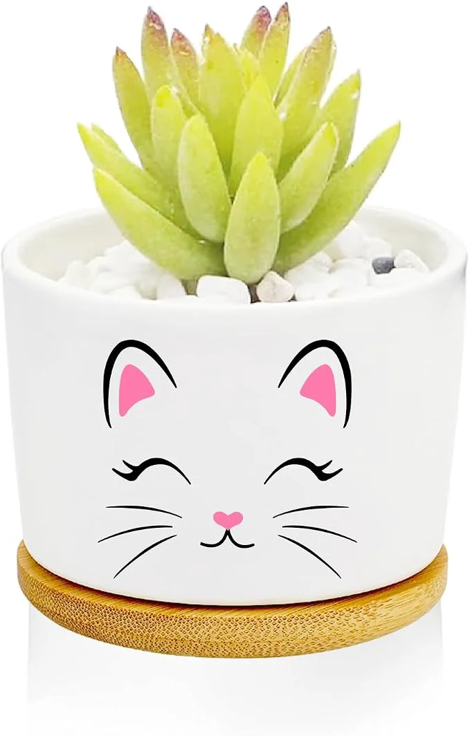 Contemporary Window Garden Cat Planter Pots Cat Loves Gifts First-Class