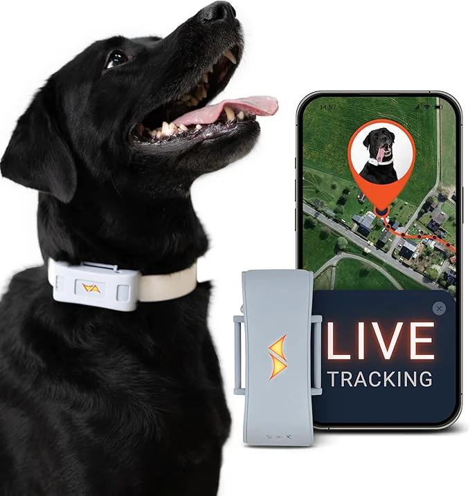Authentic PAJ GPS Tracker for Dogs - 4G GPS Collar Tag - Waterproof Up to 10 Days Eco-Friendly