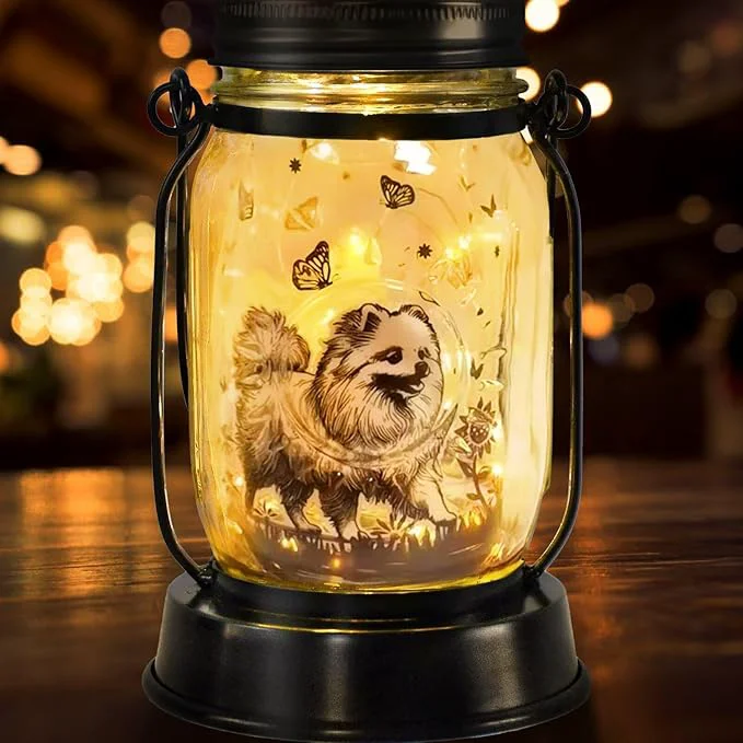 Soft kyoryuger Pomeranian Gifts for Women Men Pomeranian Solar Lanterns Dog Mom Specialty