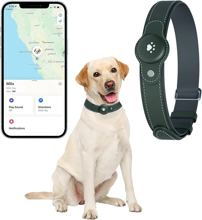 Stylish 2-in-1 GPS Tracker for Dogs Smart Collar Official