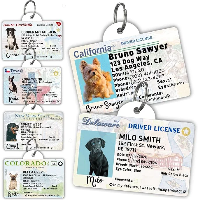 Trusted PawFurEver Personalized Dog Driver License ID Tag Efficient