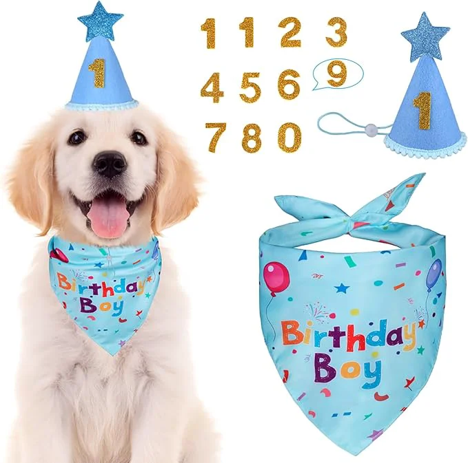 Eco-Friendly Dog Birthday Bandana Set Dog Birthday Party Supplies Puppy Boy Girl Birthday Innovative