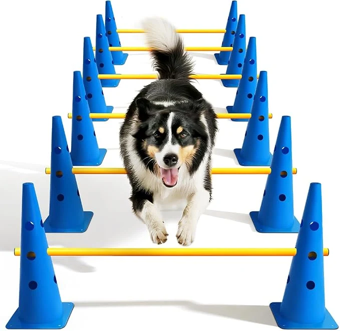 Powerful Dog Agility Course Backyard Set Dog Agility Hurdle Cone Set Recyclable