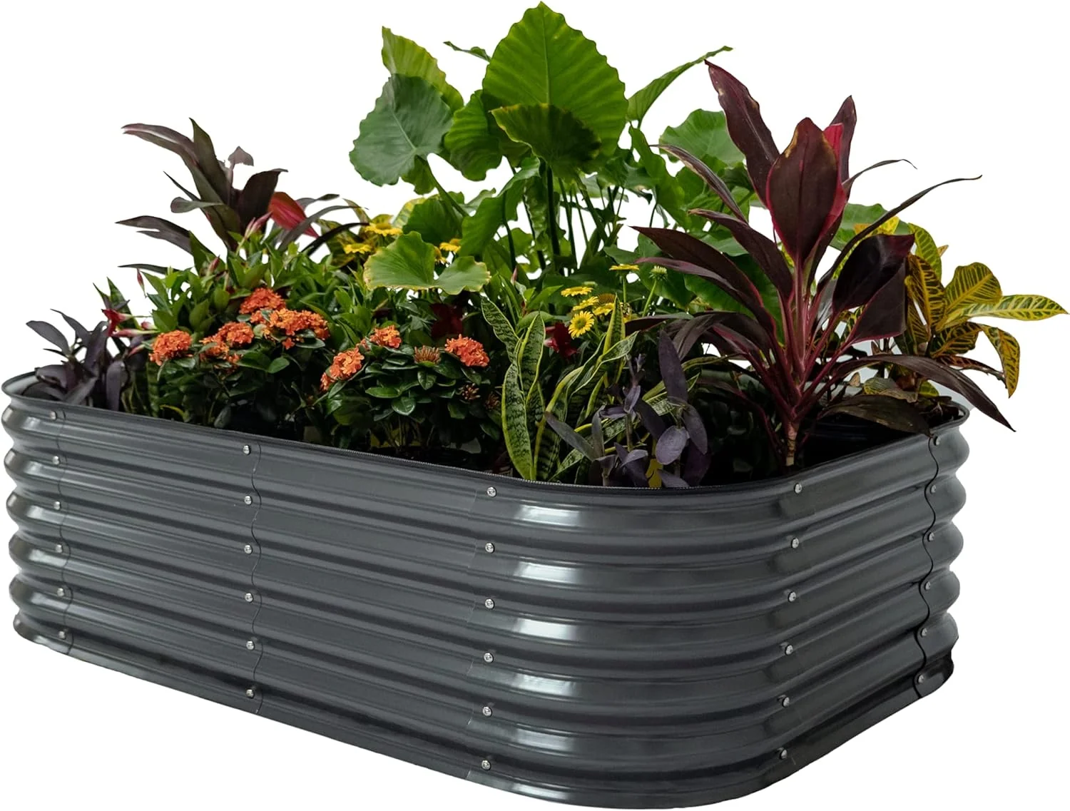 Prestigious Vego garden Aluzinc Raised Garden Bed Kits 17 Tall 6 in 1 Modular Metal Raised Planter Bed for Vegetables Flowers Patio Ground Planter Box-Modern Gray High-Grade