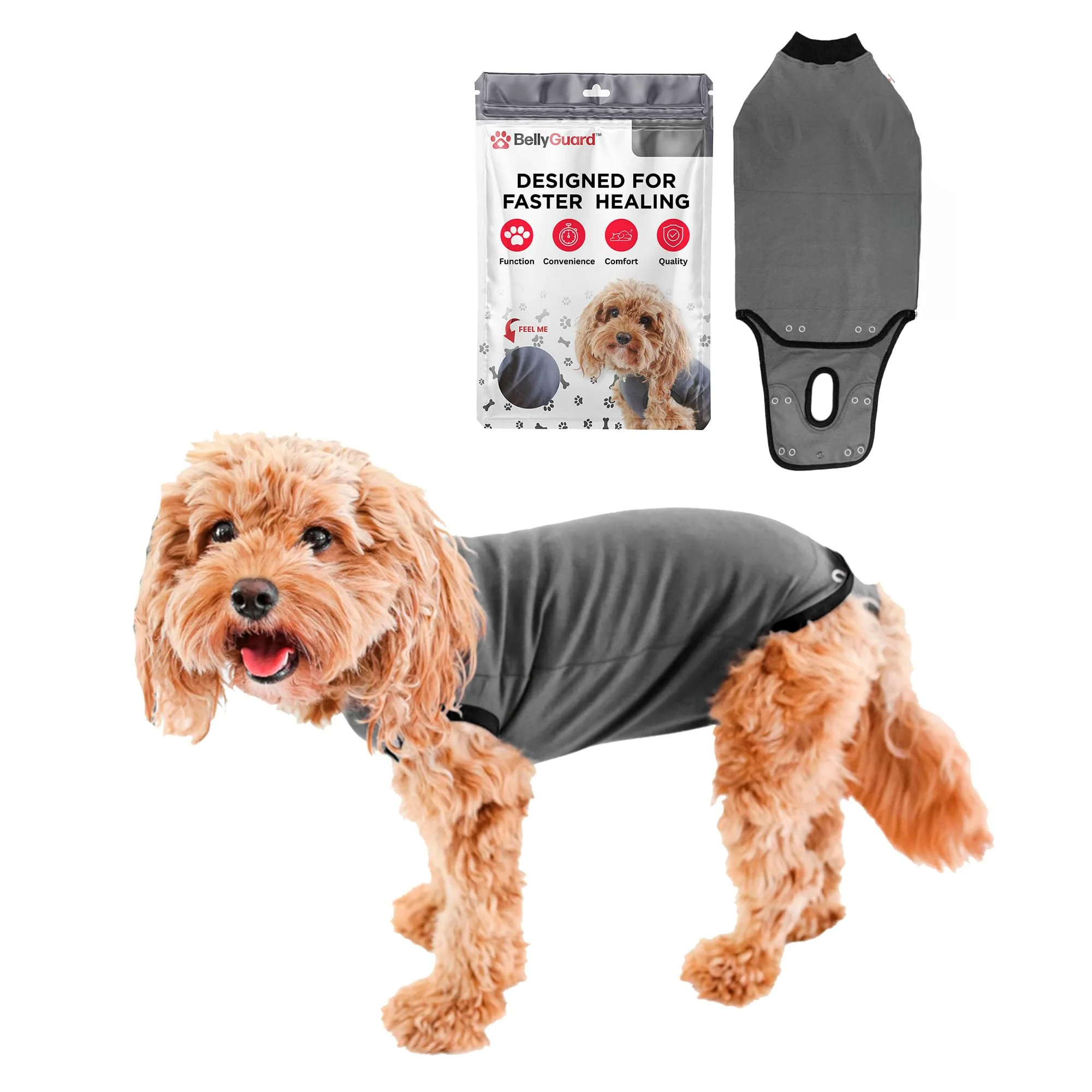 High-End BellyGuard Dog Surgery Recovery Suit Post-Op Comfort Protection Practical