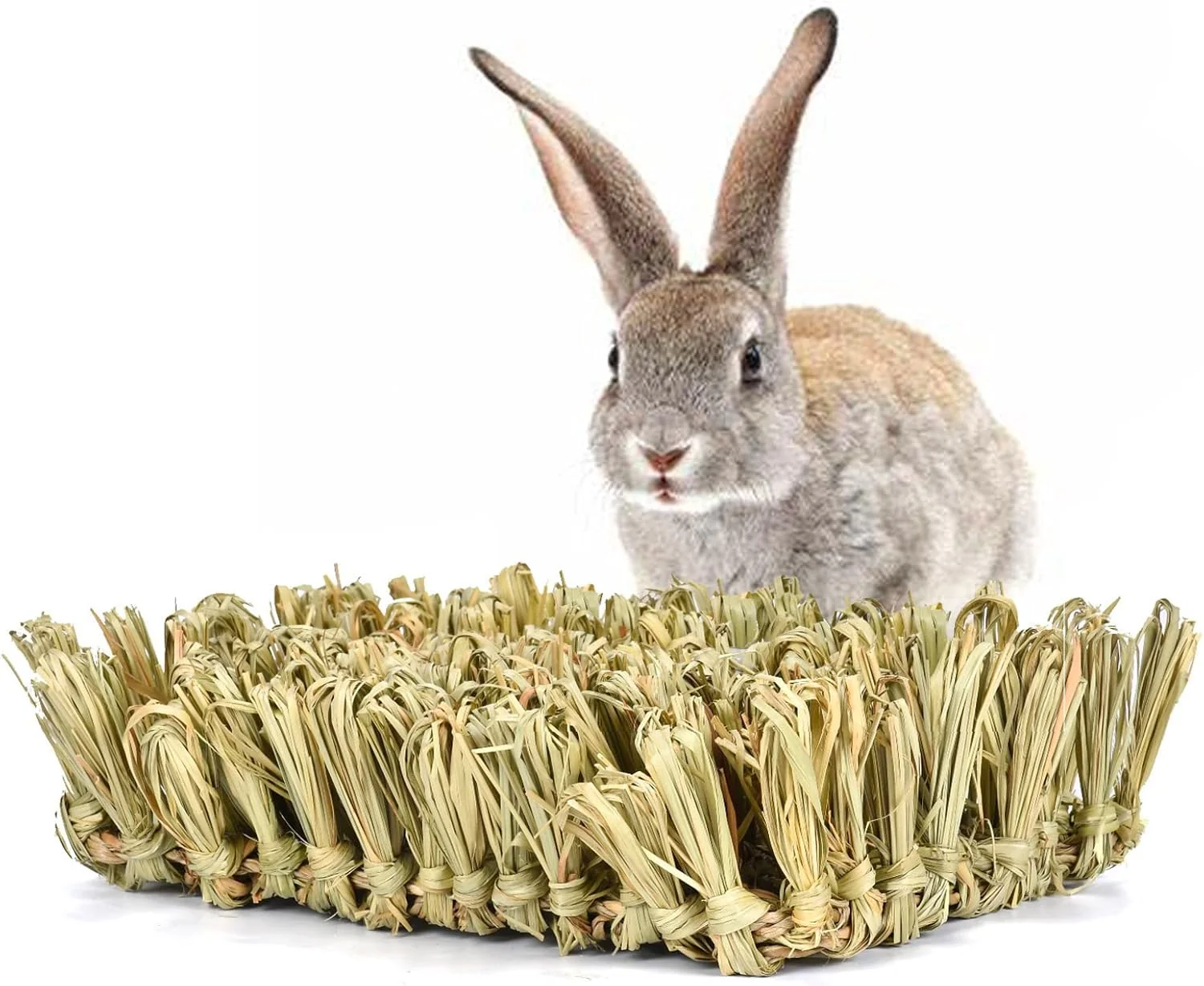 Modern Hamiledyi Rabbit Grass Bed Bunny Natural Straw Woven Mat Guinea Pig Hay Mat Chew Mat for Rabbit Guinea Pig Chinchilla Squirrel Hedgehog 10.6x7.5x3.5inches Reliable