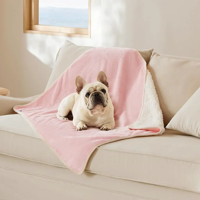 Clean Bedsure Cat Blanket for Indoor Cats Carefully Designed