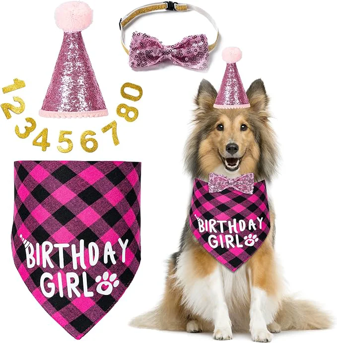 Luxury Dog Birthday Party Supplies Dog Birthday Decorations Refined