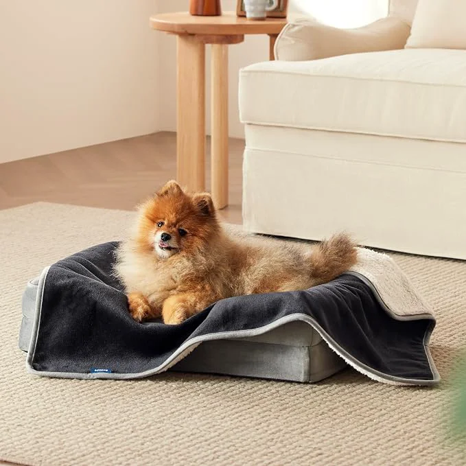Prestigious Bedsure Cat Blanket for Indoor Cats Contemporary