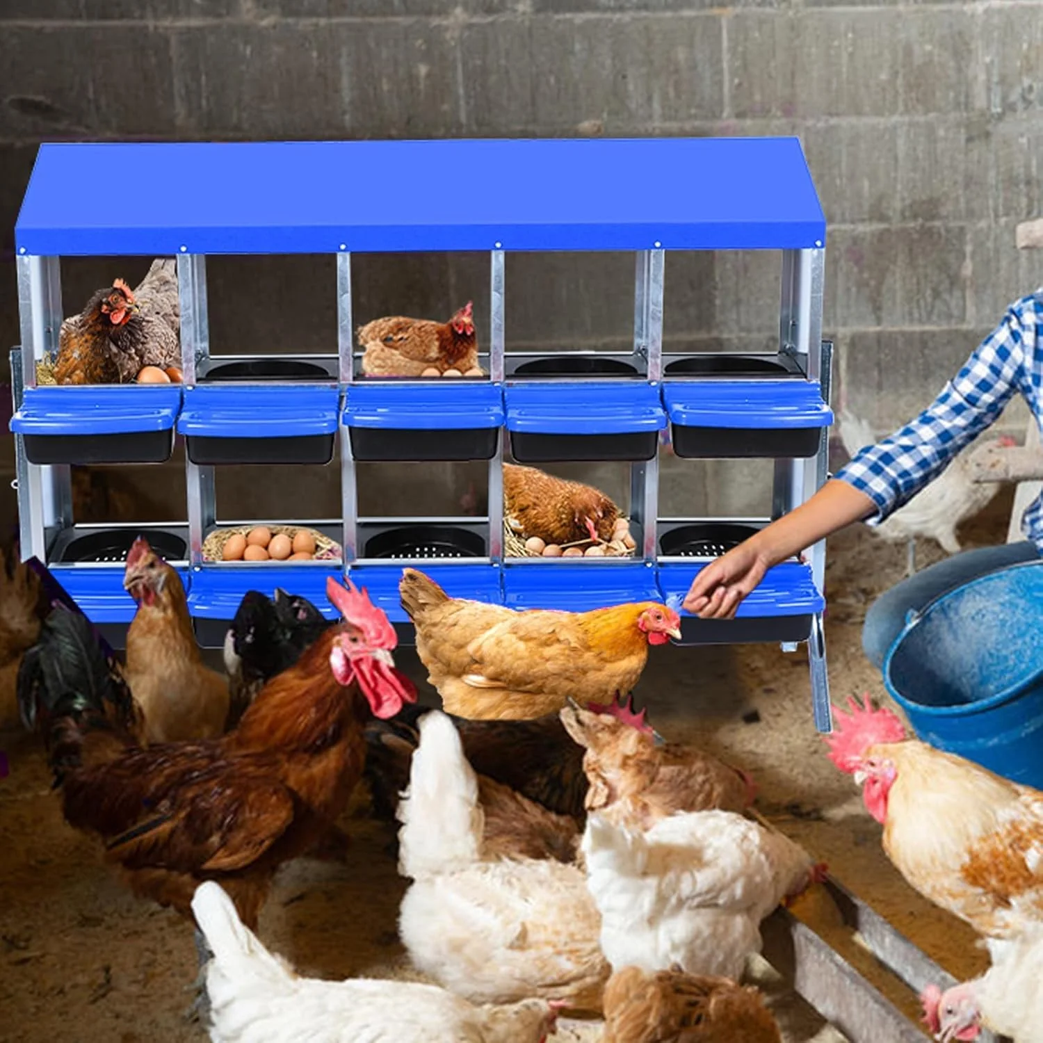 Flexible Chicken Nesting Boxes 10 Hole Metal Chicken Laying Box with with Removable Trays and Roll Out Egg Collection for Chicken Coop with Metal Bracket Blue Outstanding