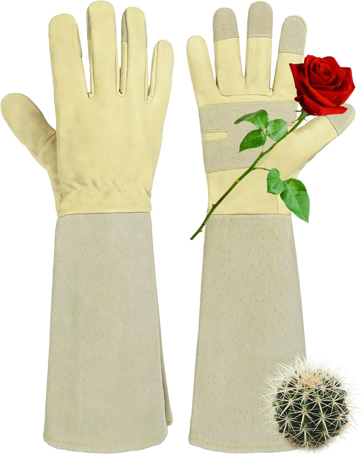 Detailed HANDLANDY Rose Pruning Gardening Gloves for Men Women Thorn Proof Forearm Protection Leather Garden Gloves Gardening Gifts for Gardeners Beige- goatskin Medium Pack of 1 Stylish