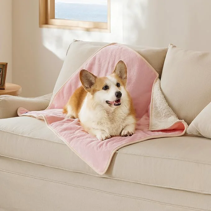 Green Bedsure Cat Blanket for Indoor Cats Luxury
