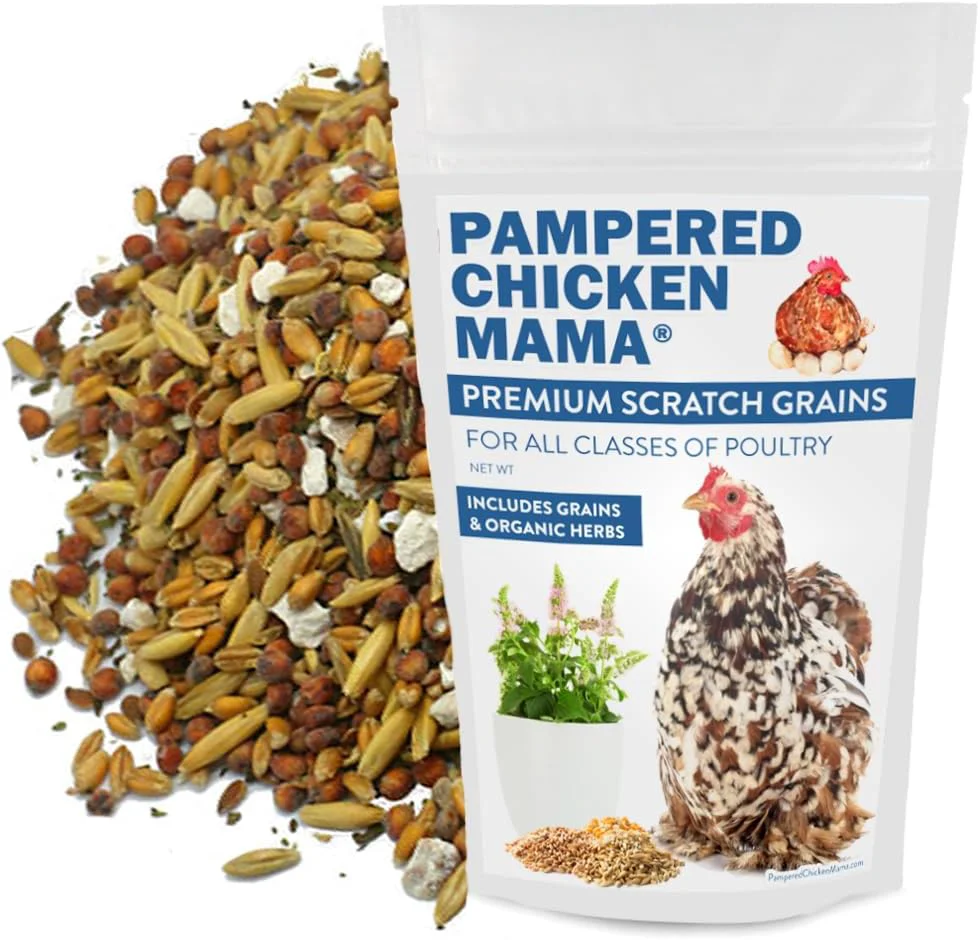Relaxed Pampered Chicken Mama Backyard Feed - Premium Scratch Treat - High Protein Calcium All-Natural Grower Feed Supplies for Laying Chickens 2.5 Pounds Sophisticated