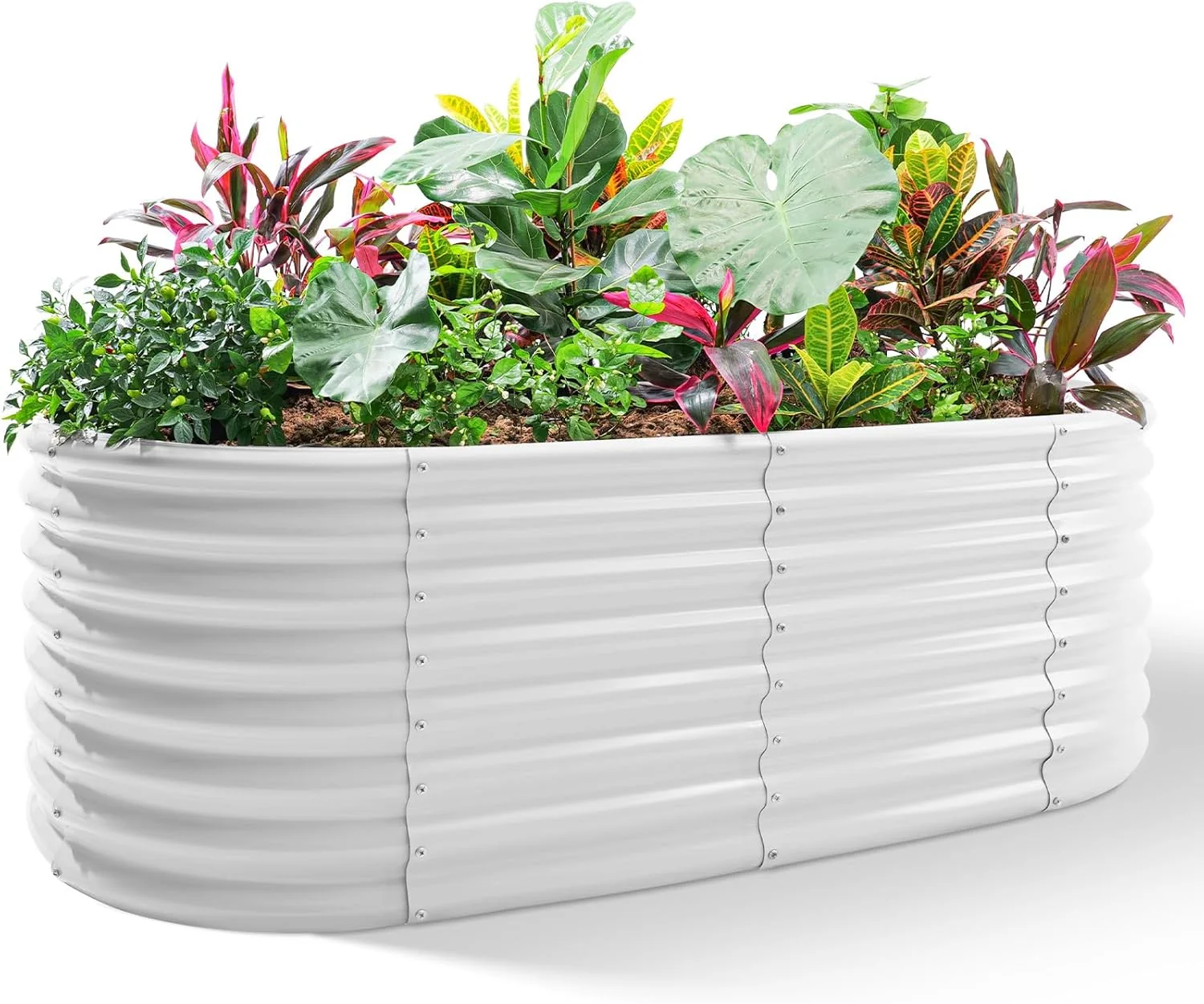 Official Land Guard 24 Tall 4×2ft Galvanized Raised Garden Bed Kit Galvanized Planter Garden Boxes Outdoor Oval Large Metal Raised Garden Bed for Vegetables Pearl White 4×2×2ft Expertly Made