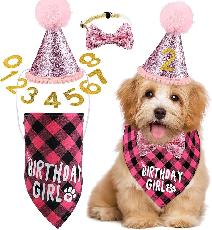 Original Weewooday Dog Birthday Party Supplies Birthday Boy Girl Cake Bandana Triangle Premium Material