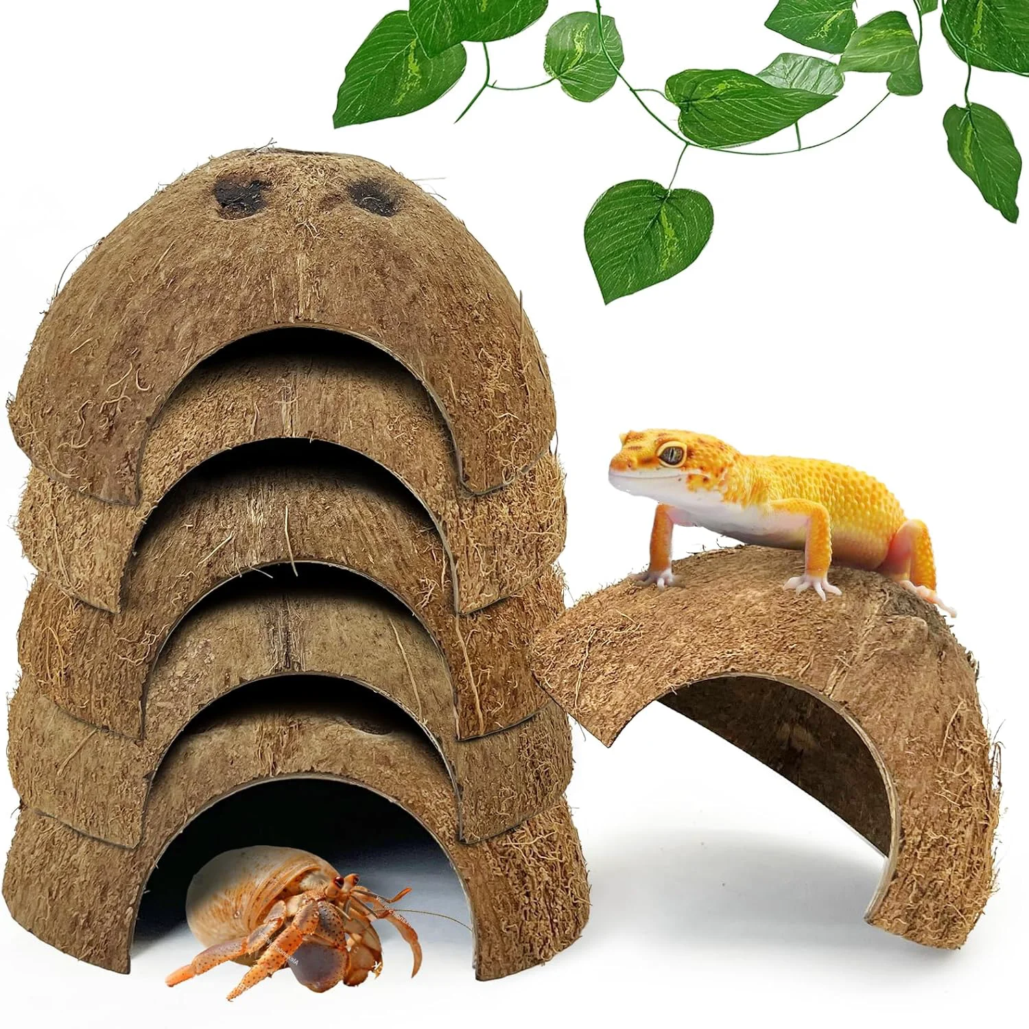 Smooth Hamiledyi 7 Pcs Reptile Hideouts Natural Coconut Shells Hut Leopard Gecko Tank Accessories for Hermit Crab Small Snake Tarantulas Lizard Chameleon Small Animal Hide Cave with Fiber Breathable
