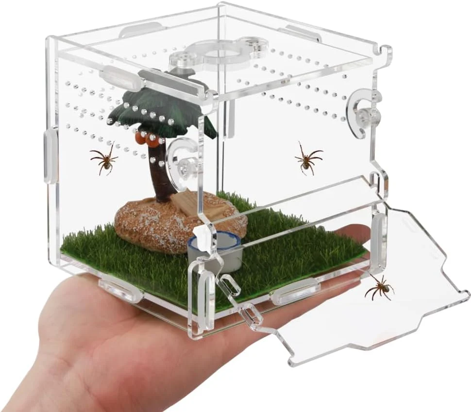 Traditional Reptile Terrarium Tarantula Enclosure Jumping Spider Enclosure for Tarantula Scorpion Sling Isopods Snail Reptile Invertebrates Accessories（4 X4 X4 ） Breathable