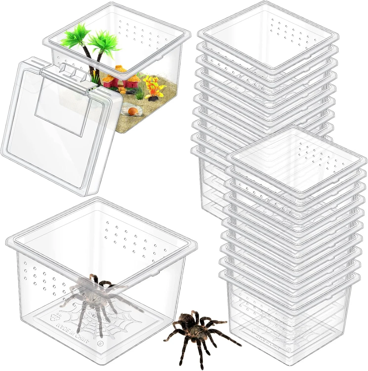 Artisan 20 Pcs Insect Spider Terrariums Breeding Box Small Reptile Hatching Container Transparent Cricket Keeper Breeder Box Feeding Spider Cage with Lid for Scorpion Gecko Tortoise Centipede Tarantula Professional
