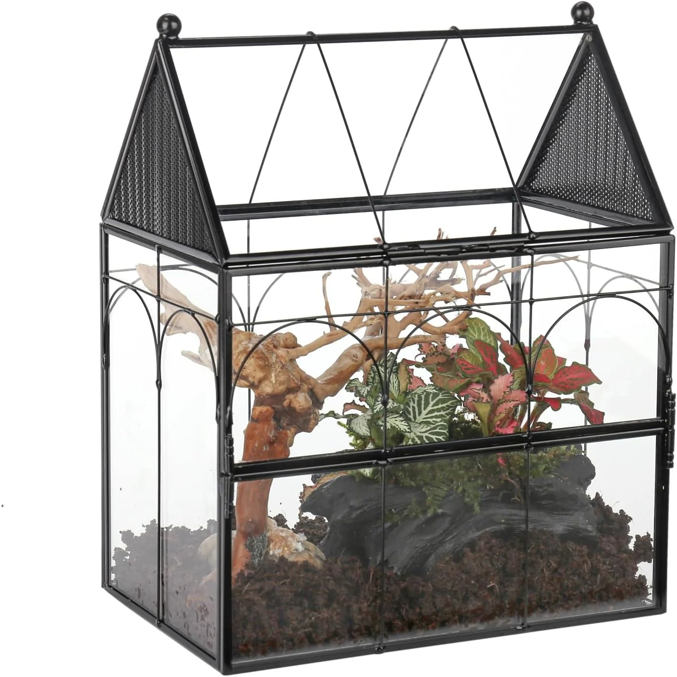 Selected NCYP Glass Enclosure with Vent Holes for Insect Jumping Spiders Snails - 7.5 x 4.9 x 9 Small Closed Front Opening Door Succulent Terrarium - House Shape Habitat Home Decor Black No Plants Artisan