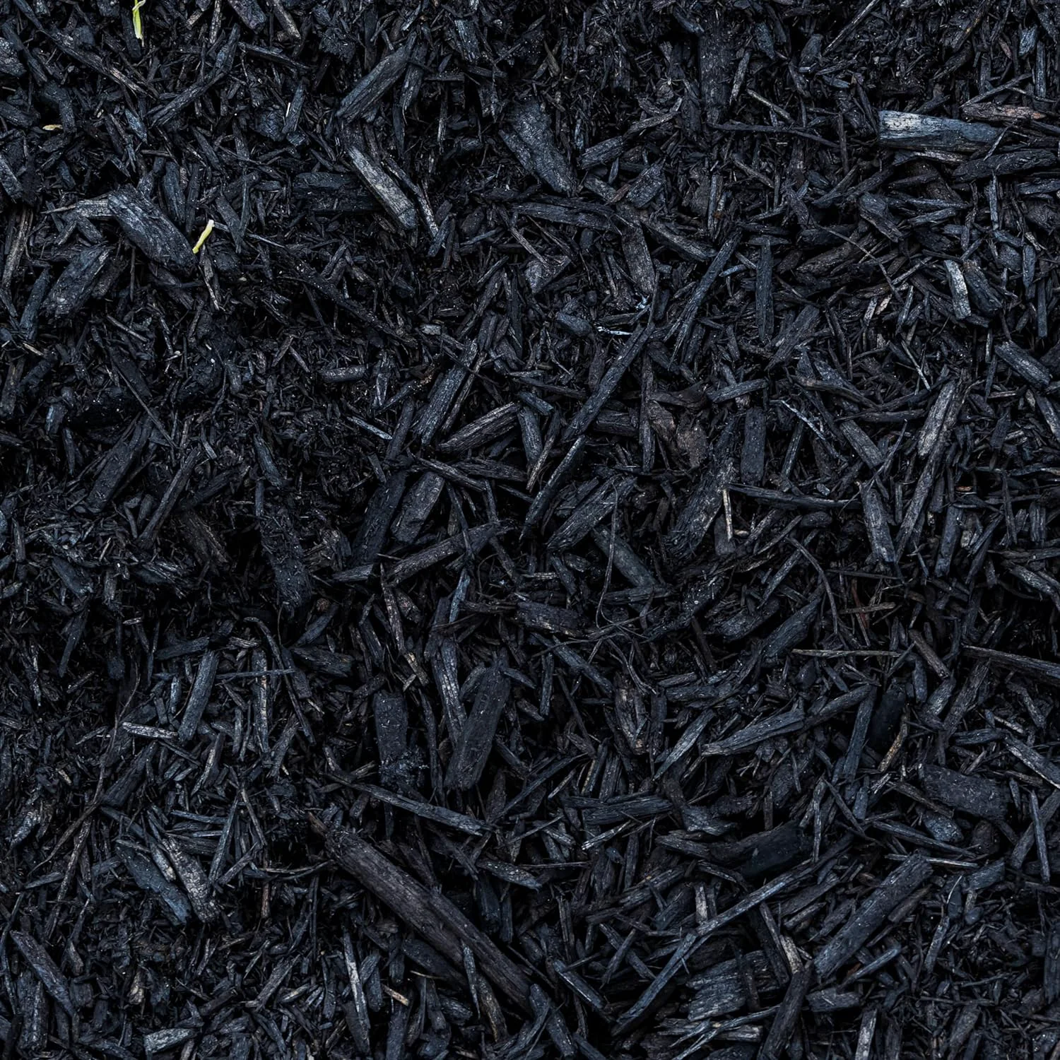 Solid Premium Black Wood Mulch for Landscaping Gardens Lawns Potting Media and Potted Plants 0.3 CF - 8 L - 9 QTS Comfortable