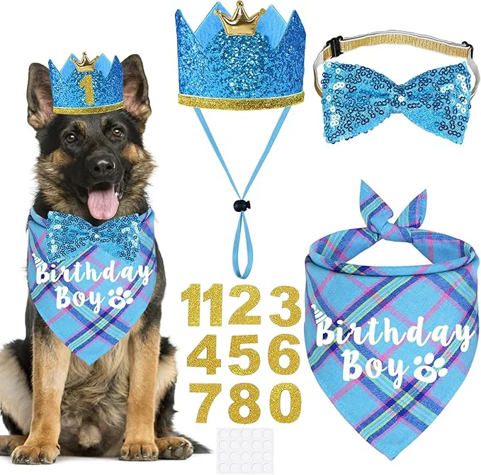 Traditional Dog Birthday Party Supplies Healthy