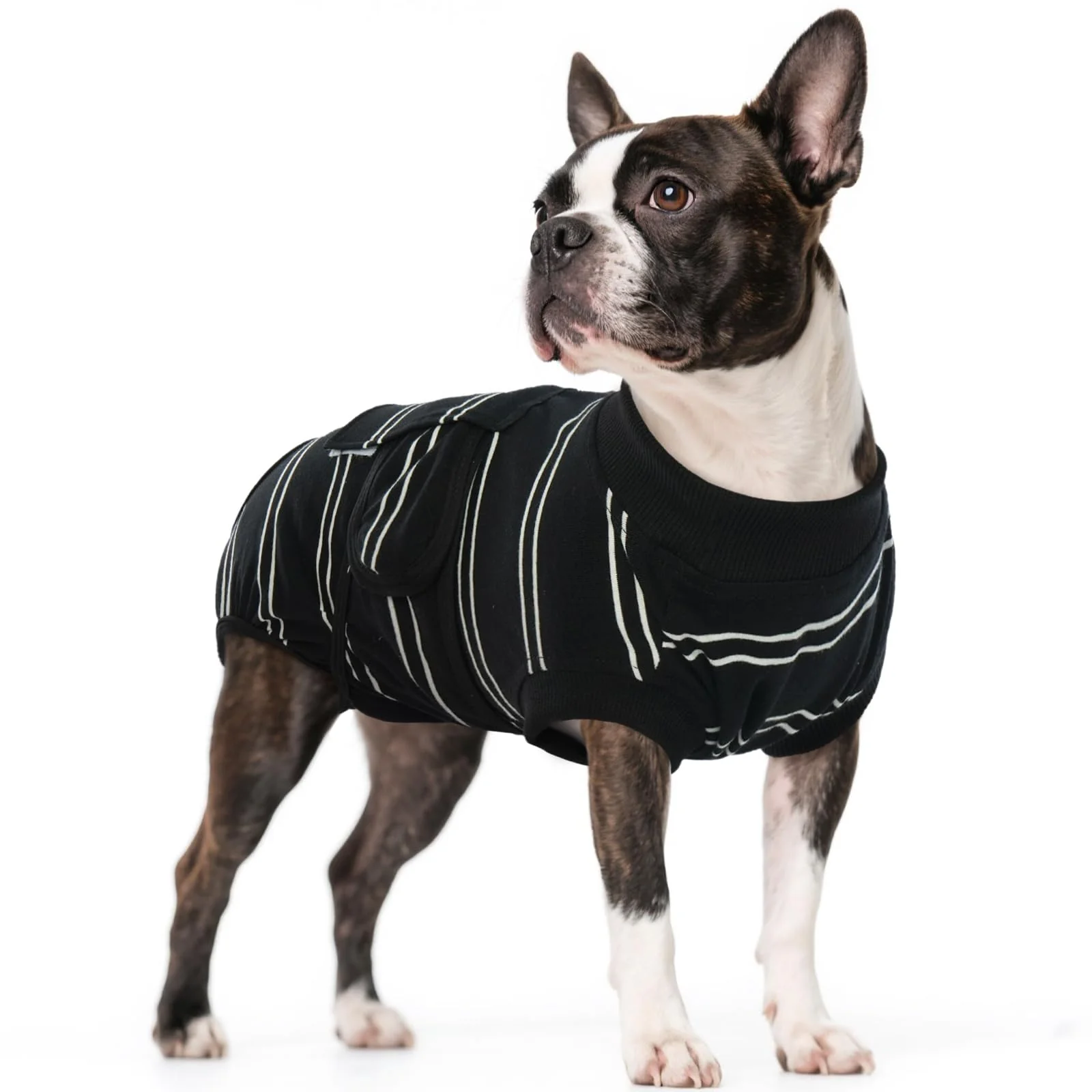 Official Kuoser Dog Surgery Recovery Suit – Soft Breathable Post-Op Onesie XS-XXL 4 Colors High-Performance