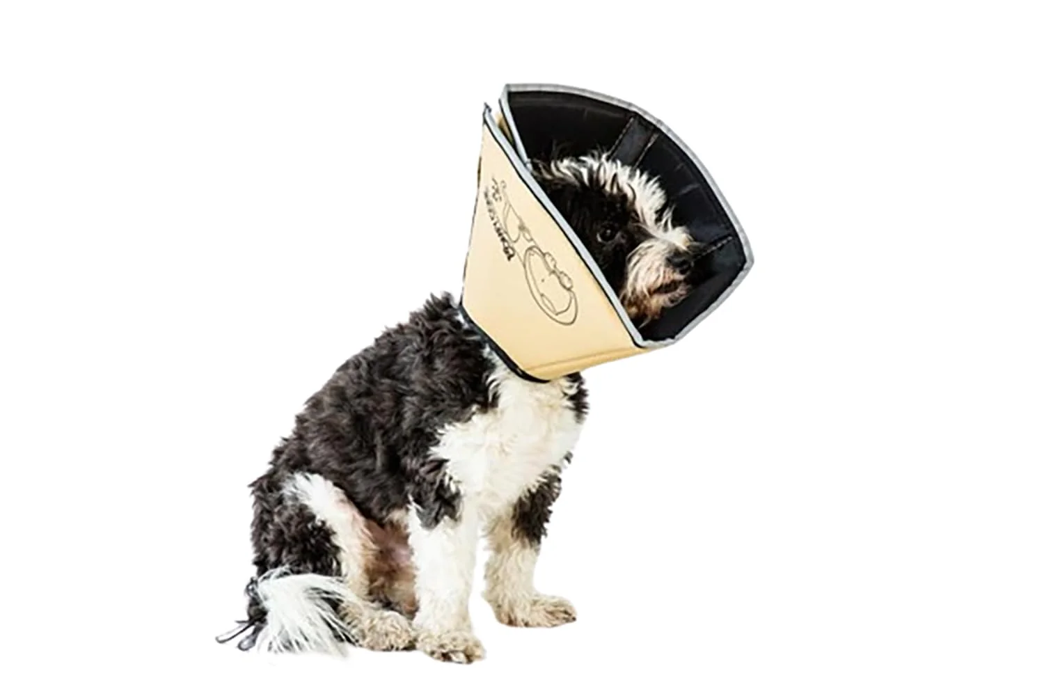Detailed All Four Paws Comfy Cone – Soft Recovery Collar for Dogs Cats Medium Tan Sustainable