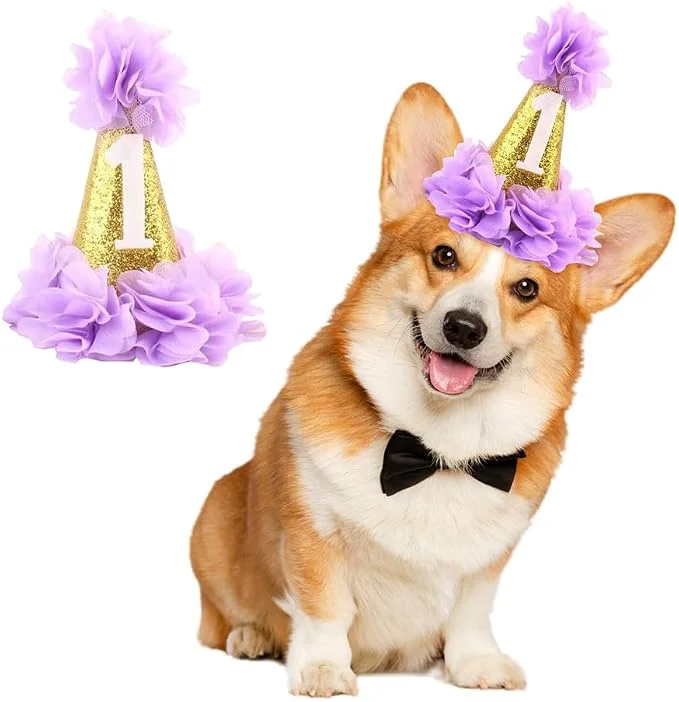 Quality Stock Show 1st Pet Birthday Cone Hat Dogs Cats Holiday Party Hat Headwear Effective